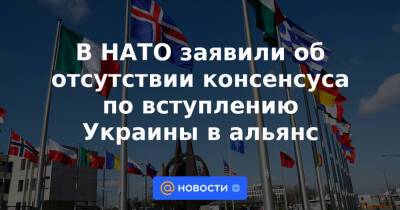 В НАТО заявили об отсутствии консенсуса по вступлению Украины в альянс