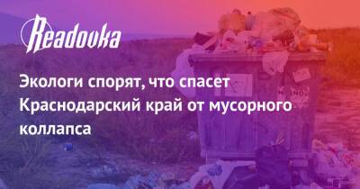 Дмитрий Шевченко - Экологи спорят, что спасет Краснодарский край от мусорного коллапса - readovka.news - Краснодарский край - Краснодар - Кубань - Белореченск - район Динский - Экология