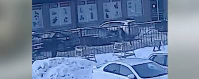 В Новосибирске два риелтора устроили потасовку со стрельбой