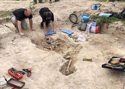 В Великобритании археологи обнаружили 40 обезглавленных скелетов