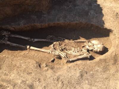 Археологи нашли в Великобритании десятки обезглавленных скелетов
