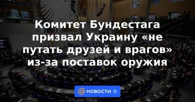 Комитет Бундестага призвал Украину «не путать друзей и врагов» из-за поставок оружия