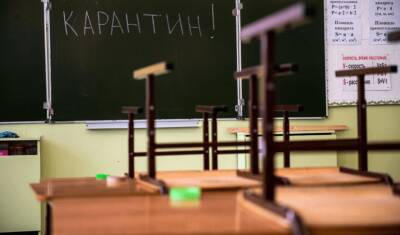 Власти Давлекановского района Башкирии решили полностью перевести школы на дистант