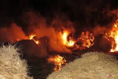 Волгоградка из ревности сожгла 18 тонн сена соседки