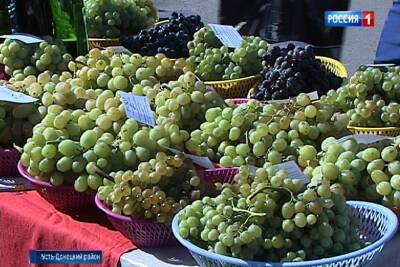 На Дону увеличилось производство винограда