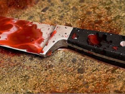В Челябинской области двухлетнюю девочку зарезали ножом
