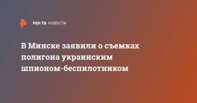 В Минске заявили о съемках полигона украинским шпионом-беспилотником - ren.tv - Украина - Белоруссия - Минск - Брестская обл.