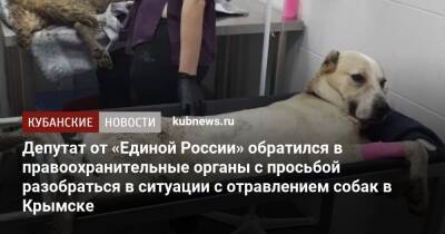 Депутат от «Единой России» обратился в правоохранительные органы с просьбой разобраться в ситуации с отравлением собак в Крымске