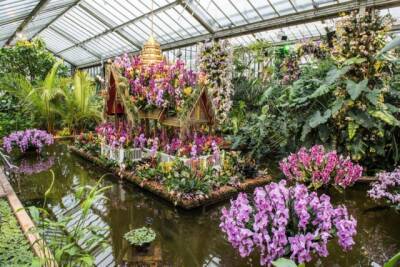 В Королевских ботанических садах Кью в Лондоне расцвели более 5000 орхидей. ВИДЕО