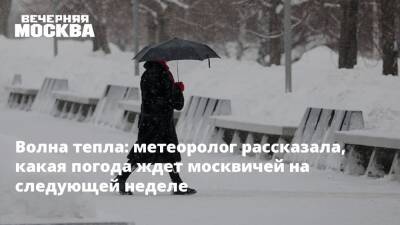 Волна тепла: метеоролог рассказала, какая погода ждет москвичей на следующей неделе