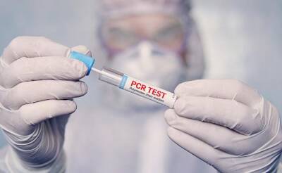 В Германии планируется введение приоритизации ПЦР-тестов