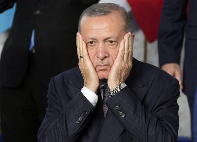 Эрдоган заразился омикрон-штаммом после поездки на Украину