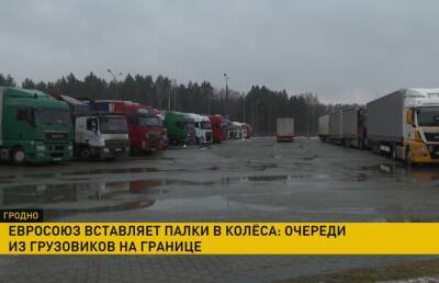 Заторы большегрузов на границе с Евросоюзом не уменьшаются. Очереди достигают 20 км!