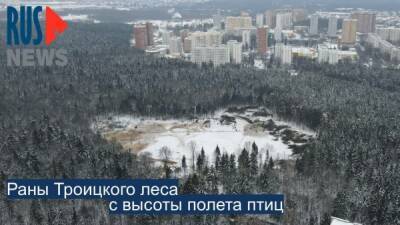 Защитники Троицкого леса строят баррикады
