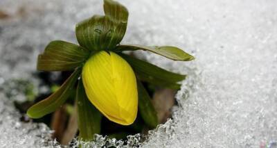 Весна начнется внезапно: синоптики удивили прогнозом погоды на март - cxid.info - Украина