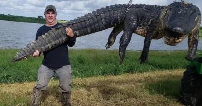 Американский охотник убил 80-летнего аллигатора весом 400 кг (фото) - focus.ua - Украина - шт.Флорида - штат Миссисипи