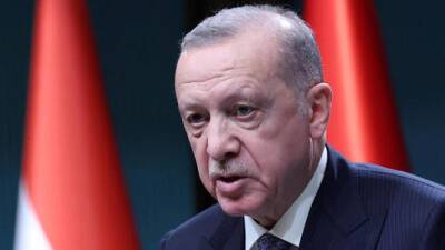 После встречи с Зеленским и перед визитом Герцога: Эрдоган заразился коронавирусом