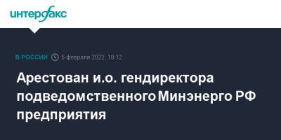 Арестован и.о. гендиректора подведомственного Минэнерго РФ предприятия