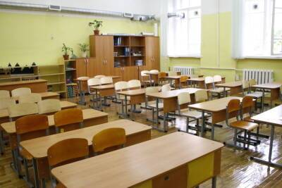 Все петербургские школы перешли на смешанный формат обучения из-за коронавируса