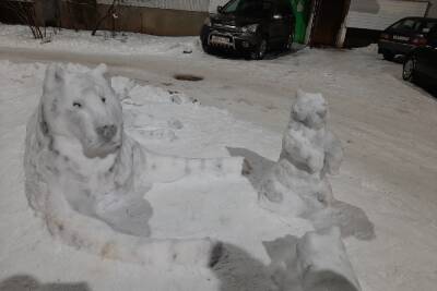Жители Псковской области делятся в соцсетях снимками смешных снеговиков
