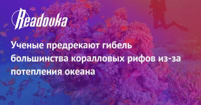 Ученые предрекают гибель большинства коралловых рифов из-за потепления океана