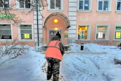 Дворы и улицы Гатчины вышли чистить от снега 65 дворников