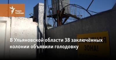 В Ульяновской области 38 заключённых колонии объявили голодовку