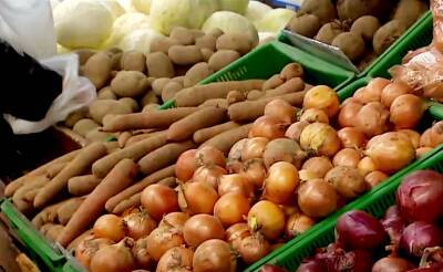 Беларусь вводит лицензирование вывоза лука, капусты и яблок