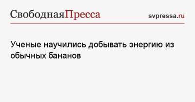 Ученые научились добывать энергию из обычных бананов