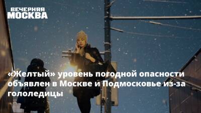 «Желтый» уровень погодной опасности объявлен в Москве и Подмосковье из-за гололедицы