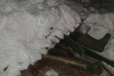 Под Тверью 81-летний пенсионер несколько часов пролежал под обвалившейся крышей с грудой снега сверху