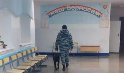 14 школ Новосибирской области получили сообщения о минировании