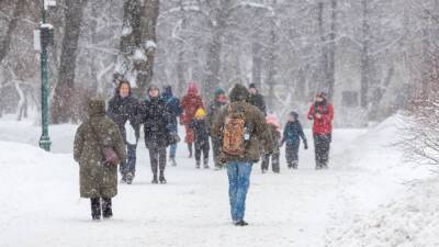 Метеоролог Терешонок не исключил сильных снегопадов в России в феврале и марте