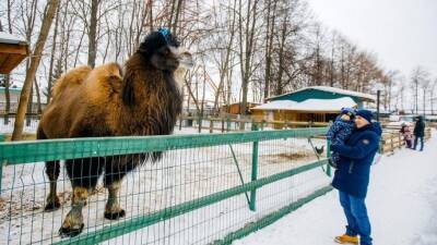 Чебоксарский зооуголок «Ковчег» получил лицензию на содержание животных