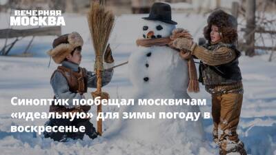 Синоптик пообещал москвичам «идеальную» для зимы погоду в воскресенье