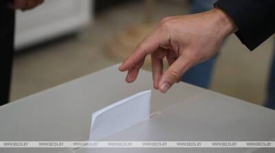 Пиневич рассказал, как смогут проголосовать на референдуме болеющие белорусы