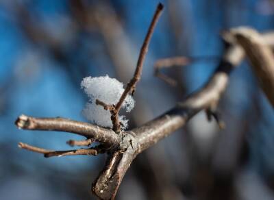 В Украину ворвется ранняя весна: прогноз климатолога