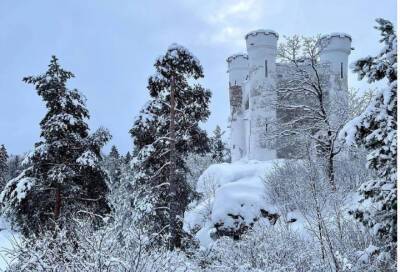 «Ощущение, что попадаешь в сказку про Снежную королеву»: что говорят о зимнем парке Монрепо