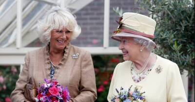 Елизавета II - принц Чарльз - королева Елизавета - Камилла Паркер-Боулз - Королевский подарок: Елизавета II сообщила, что после ее смерти Камилла станет королевой - focus.ua - Украина - Англия