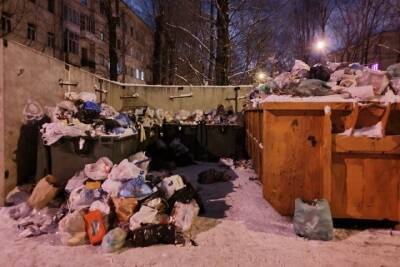 Почти к 30 площадкам мусоровозы не смогли подъехать из-за неубранного снега в Новгороде