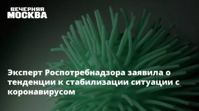 Наталья Пшеничная - Александр Горелов - Эксперт Роспотребнадзора заявила о тенденции к стабилизации ситуации с коронавирусом - vm.ru - Россия