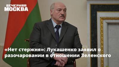 «Нет стержня»: Лукашенко заявил о разочаровании в отношении Зеленского