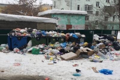 Рязанец заснял переполненные мусорные баки во дворе на площади Театральной