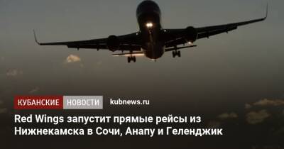 Red Wings запустит прямые рейсы из Нижнекамска в Сочи, Анапу и Геленджик