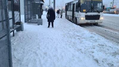 Руководитель «Колясочники Петербурга» возмутилась состоянием зимних улиц Петербурга