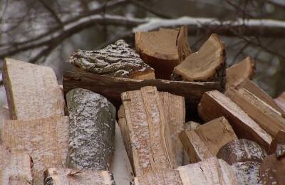 Все, что вы должны знать о дровах: какие самые жаркие и как заставить их гореть в 5 раз дольше