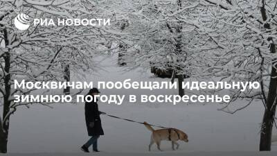Синоптик "Фобоса" Тишковец: в Москве в воскресенье ожидается идеальная зимняя погода