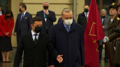 После встречи с Зеленским у Эрдогана нашли "омикрон"