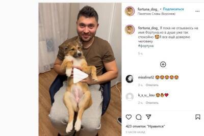 Воронежский щенок Фортуна, прославившийся своими путешествиями на маршрутках, стал инстаблогером