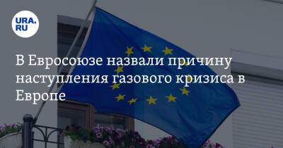 В Евросоюзе назвали причину наступления газового кризиса в Европе